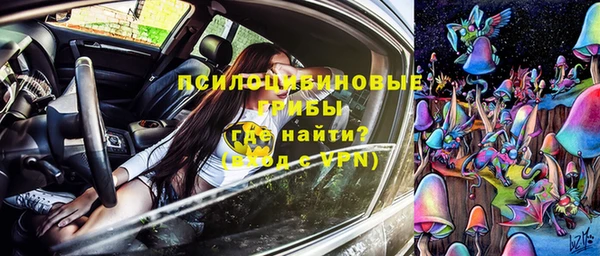 дурь Арсеньев