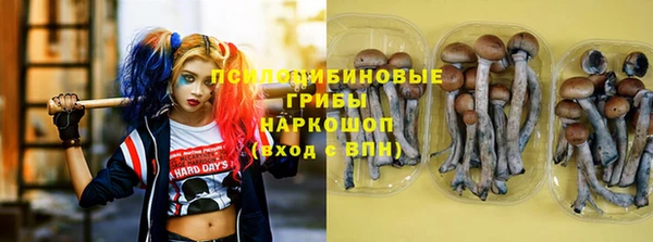 дурь Арсеньев