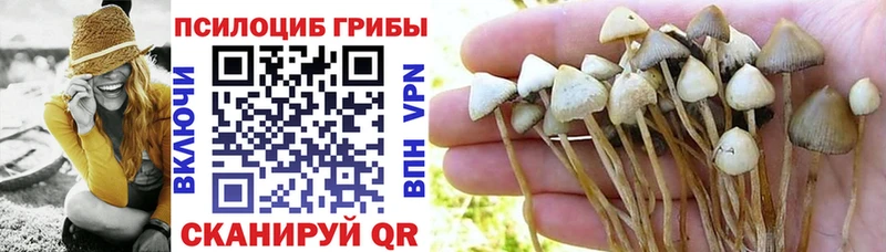 наркота  ОМГ ОМГ зеркало  Псилоцибиновые грибы Psilocybe  Калининск 
